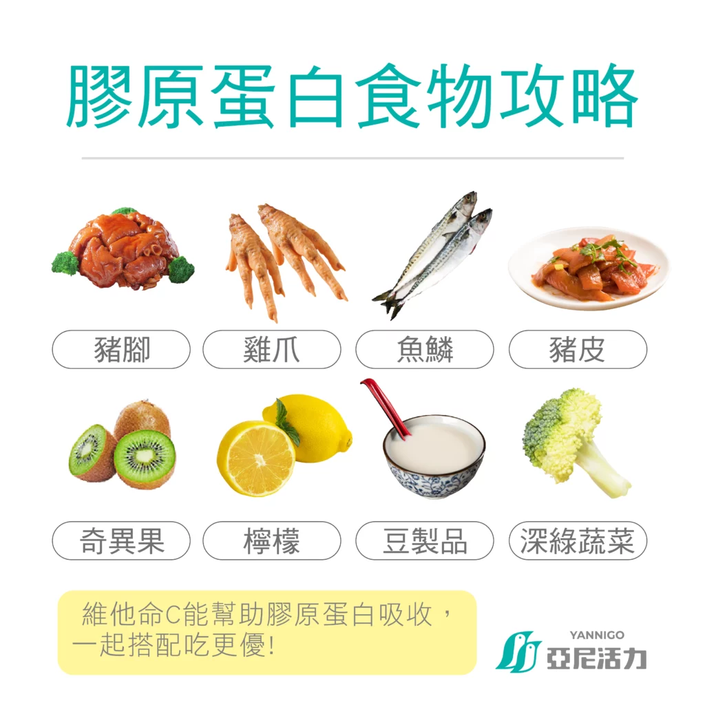 膠原蛋白功效胸部